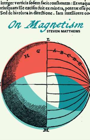 On Magnetism de Steven Matthews