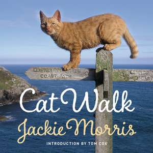 Cat Walk de Jackie Morris