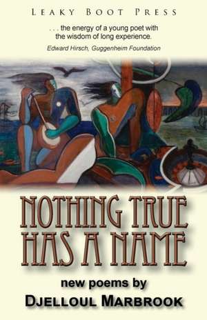 Nothing True Has a Name de Djelloul Marbrook