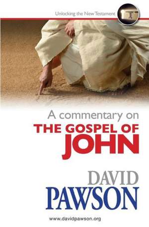 A Commentary on the Gospel of John de David Pawson