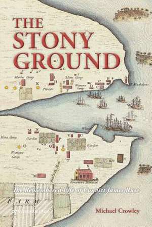 The Stony Ground de Michael C. Rowley