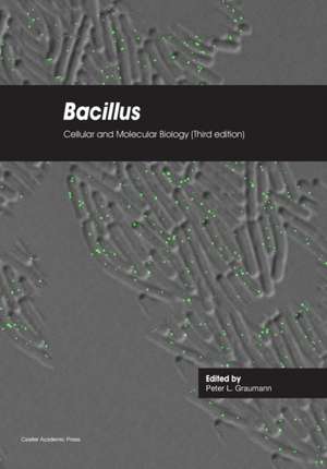 Bacillus de Graumann, Peter L.