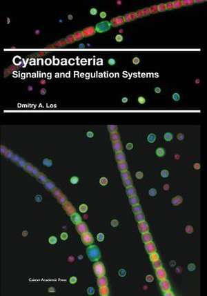 Cyanobacteria de Dmitry a Los