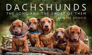 Dachshunds de Caroline Donald