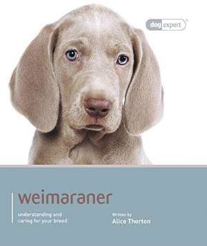 Weimaraner de Alice Thornton