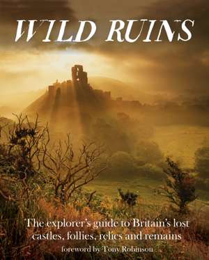 Wild Ruins de Dave Hamilton