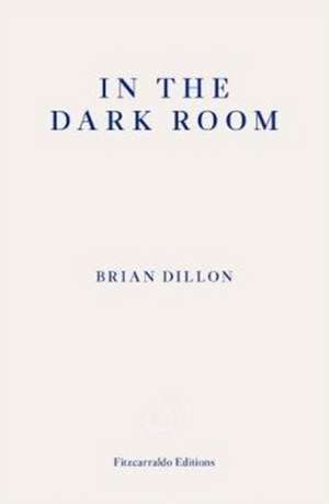 In the Dark Room de Brian Dillon