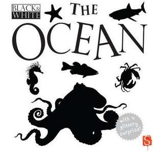 Black & White: The Ocean de DAVID STEWART