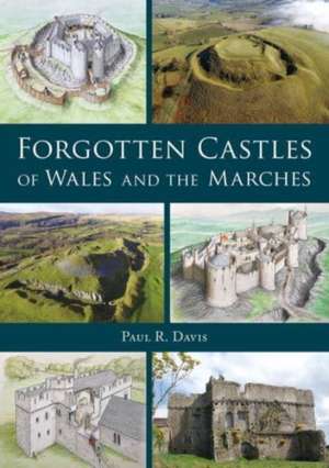 Forgotten Castles of Wales and the Marches de Paul R. Davis