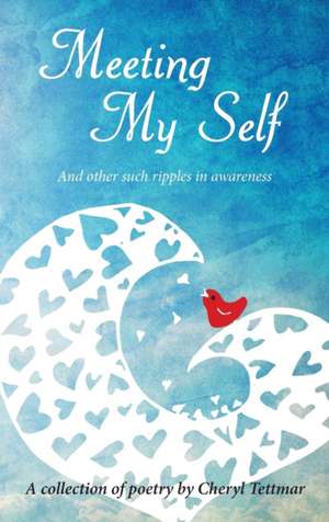 Meeting My Self de Cheryl Tettmar