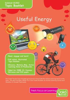USEFUL ENERGY