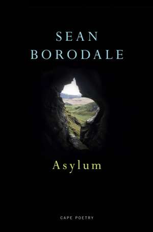 Asylum de Sean Borodale