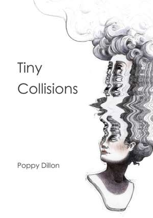 Tiny Collisions de Poppy Dillon