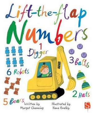 Lift-The-Flap Numbers de Margot Channing