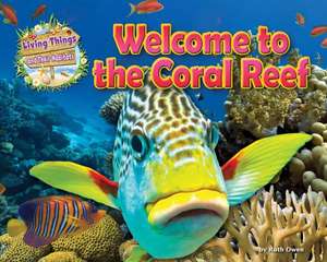 Welcome to the Coral Reef de Honor Head