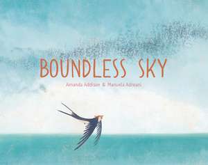 Boundless Sky de Amanda Addison