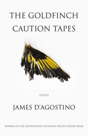 The Goldfinch Caution Tapes de James D'Agostino