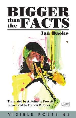 Bigger than the Facts de Jan Baeke