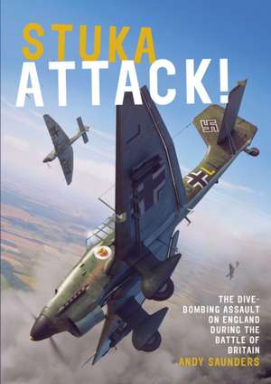 Stuka Attack de Andy Saunders