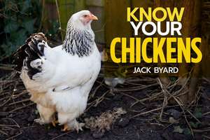 Know Your Chickens de Jack Byad