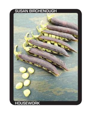 Housework de Susan Birchenough