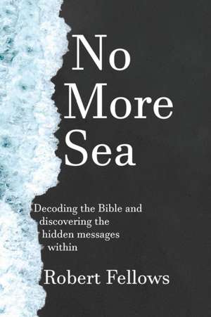 No More Sea de Robert Fellows