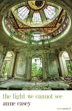 The Light We Cannot See de Anne Casey