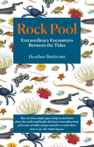 Rock Pool: Extraordinary Encounters Between the Tides de Heather Buttivant