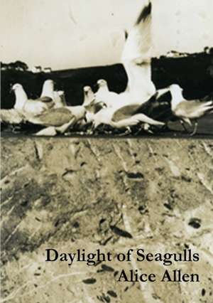 Daylight of Seagulls de Alice Allen