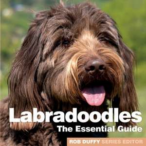 Labradoodles de Robert Duffy