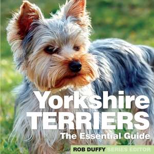 Yorkshire Terriers de Robert Duffy