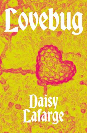 Lovebug de Daisy LaFarge