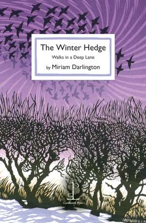 The Winter Hedge de Miriam Darlington