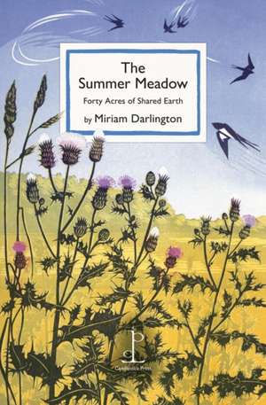 Summer Meadow de Miriam Darlington