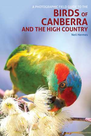 A Photographic Field Guide to Birds of Canberra & the High Country (2nd ed) de Neil Hermes