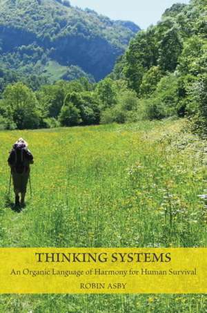 Thinking Systems de Robin Asby