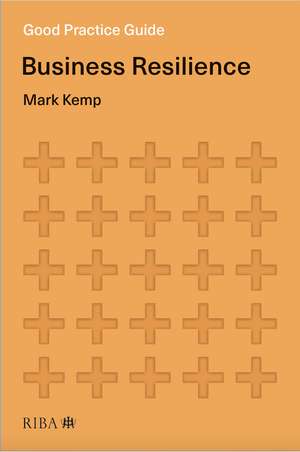 Good Practice Guide: Business Resilience de Mark Kemp