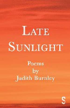 Late Sunlight de Judith Burnley