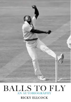 Balls to Fly de Ricky Ellcock
