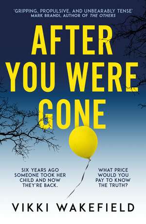 After You Were Gone de Vikki Wakefield