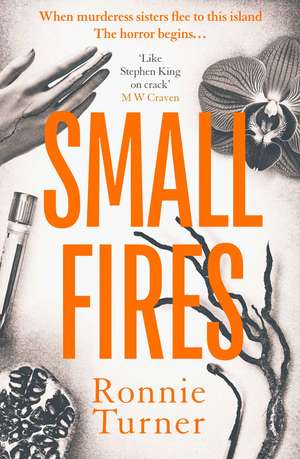 Small Fires: This year's most unsettling, hypnotic contemporary gothic thriller de Ronnie Turner