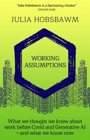 Working Assumptions de Julia Hobsbawm