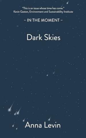 Dark Skies de Anna Levin