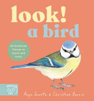 Look! A Bird! de Anya Serota