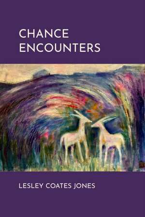 Chance Encounters de Lesley Coates Jones