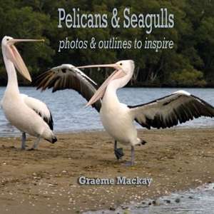 Pelicans & Seagulls: Photos and Outlines to Inspire de Graeme MacKay