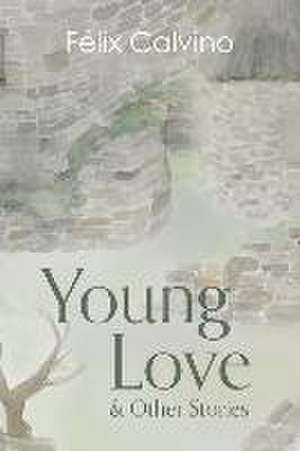 Young Love & Other Stories de Félix Calvino