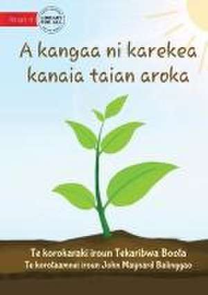 How Plants Make Food - A kangaa ni karekea kanaia taian aroka (Te Kiribati) de Tekaribwa Boota