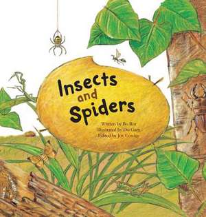 Insects and Spiders: Insects and Spiders de Bo Rin