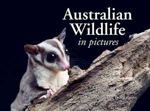 Australian Wildlife in Picture de New Holland Publishers